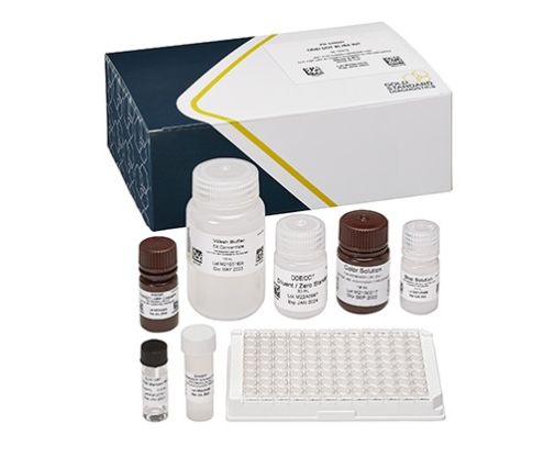 DDE/DDT, Placa ELISA