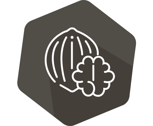 SENSISpec Nuez (Walnut)